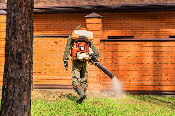Bed Bug Clearance Verification and Documentation in Rio del Mar